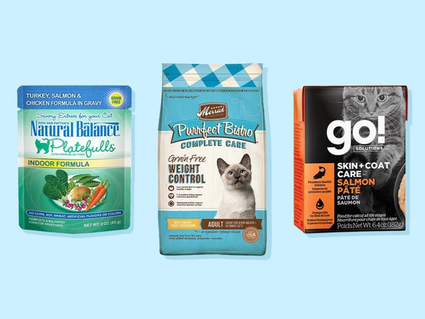 649af06f6eb0a800194d51b6?width=600&format=jpeg&auto=webp