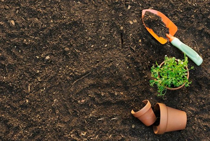 Đất nào giữ nước tốt nhất trong 3 loại: đất sét, đất thịt, đất cát?