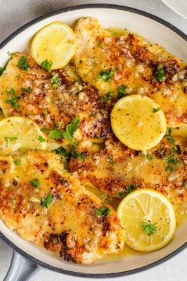 Lemon chicken in lemon butter sauce in skillet garnished with lemon slices