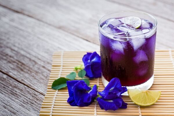 uống trà hoa đậu biếc vào thời điểm nào